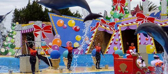 parc aquatique Marineland